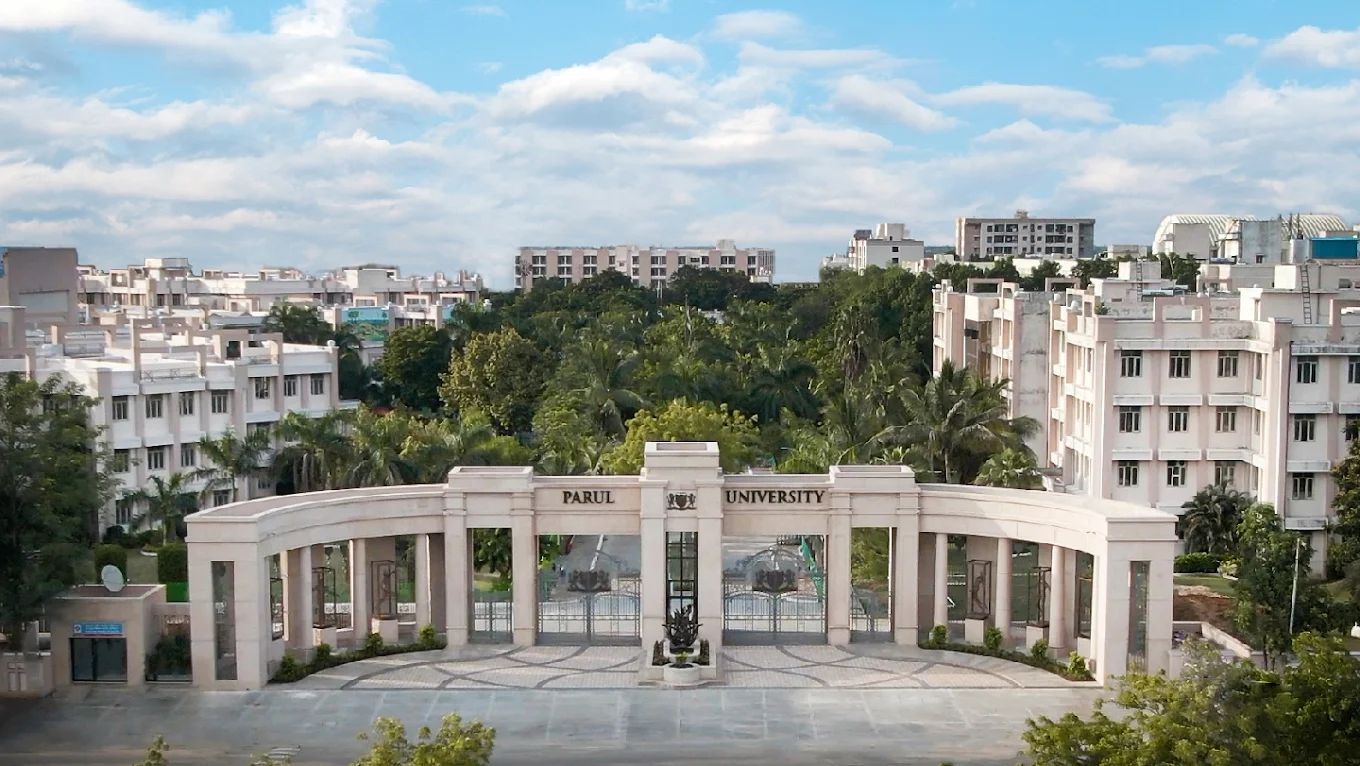 University Gallery Image