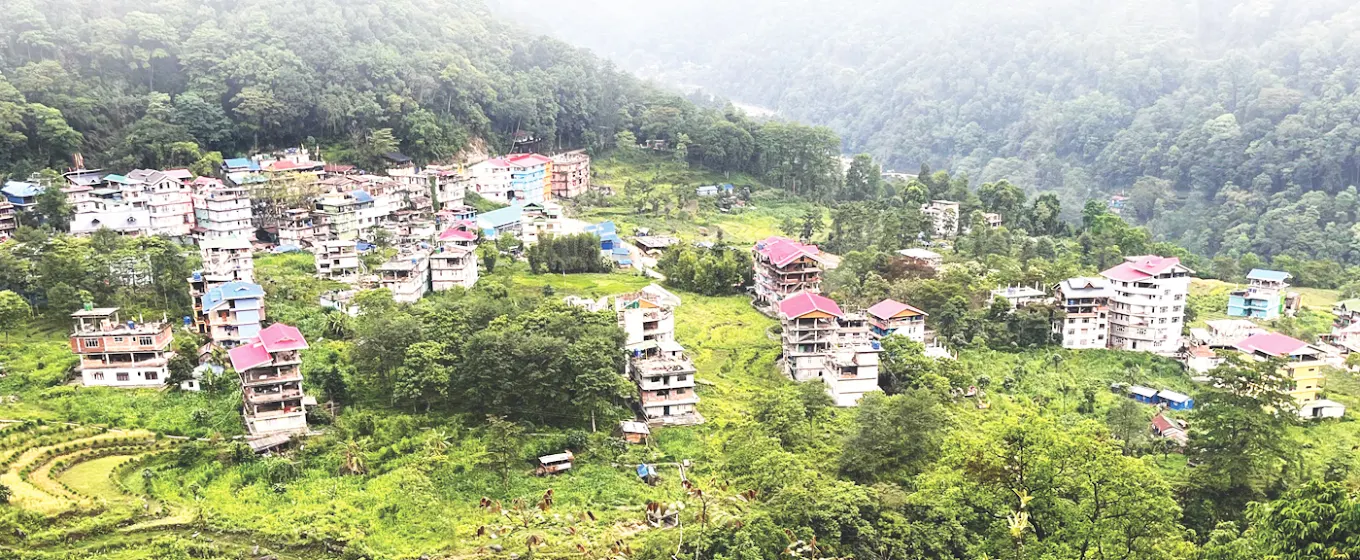 University Gallery Image