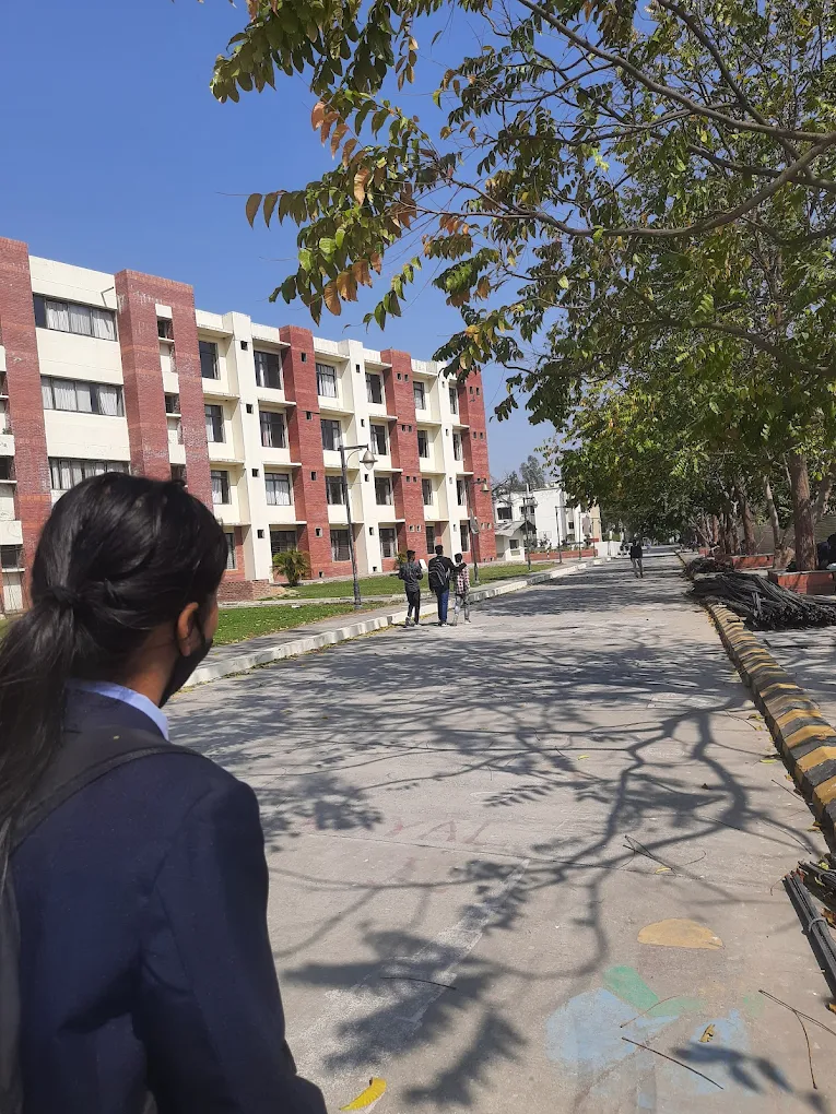 University Gallery Image