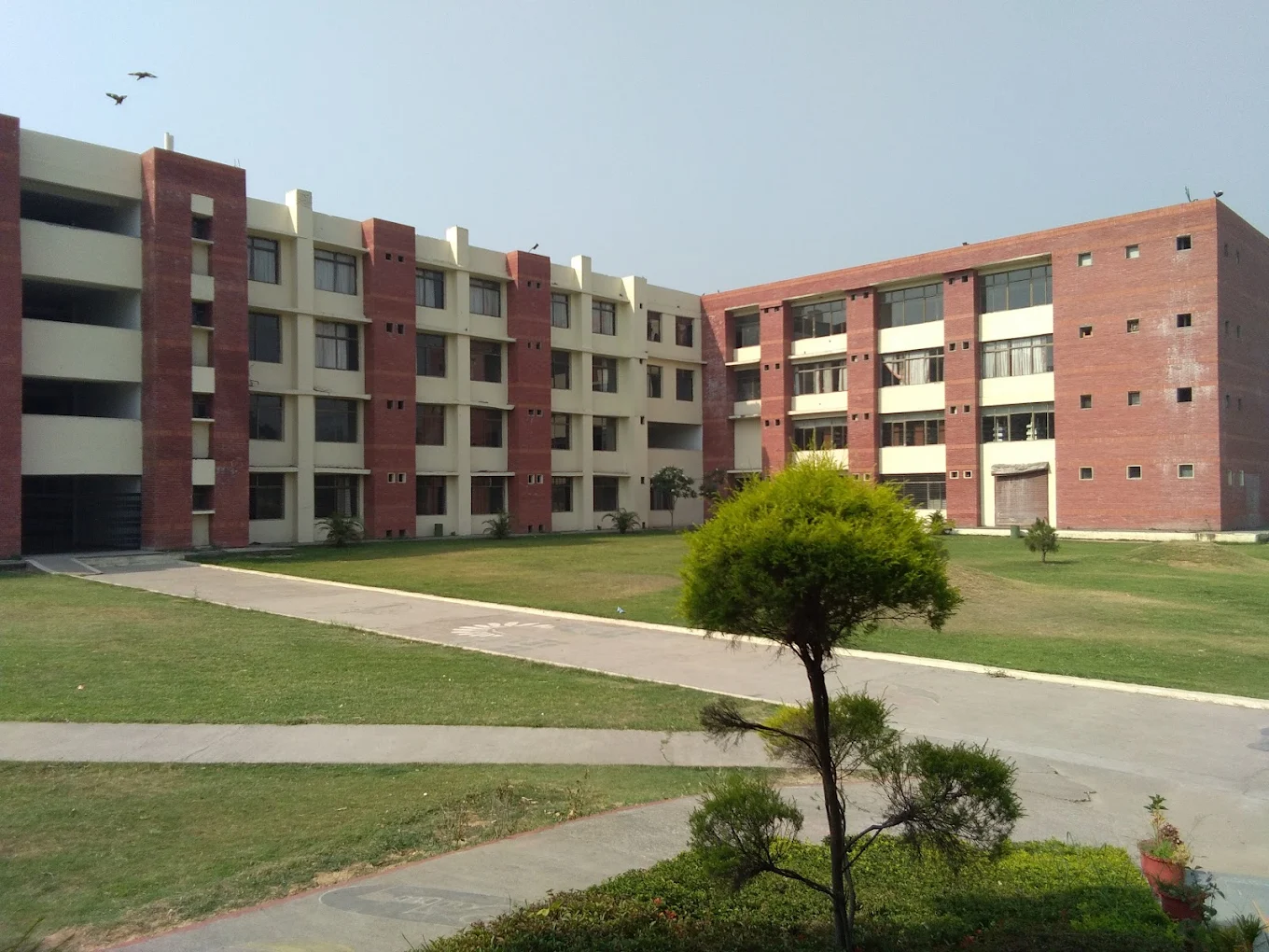 University Gallery Image