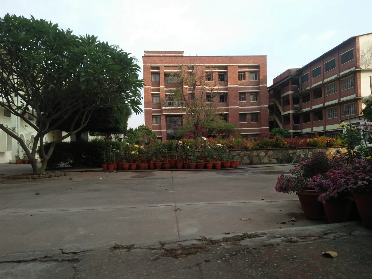 University Gallery Image