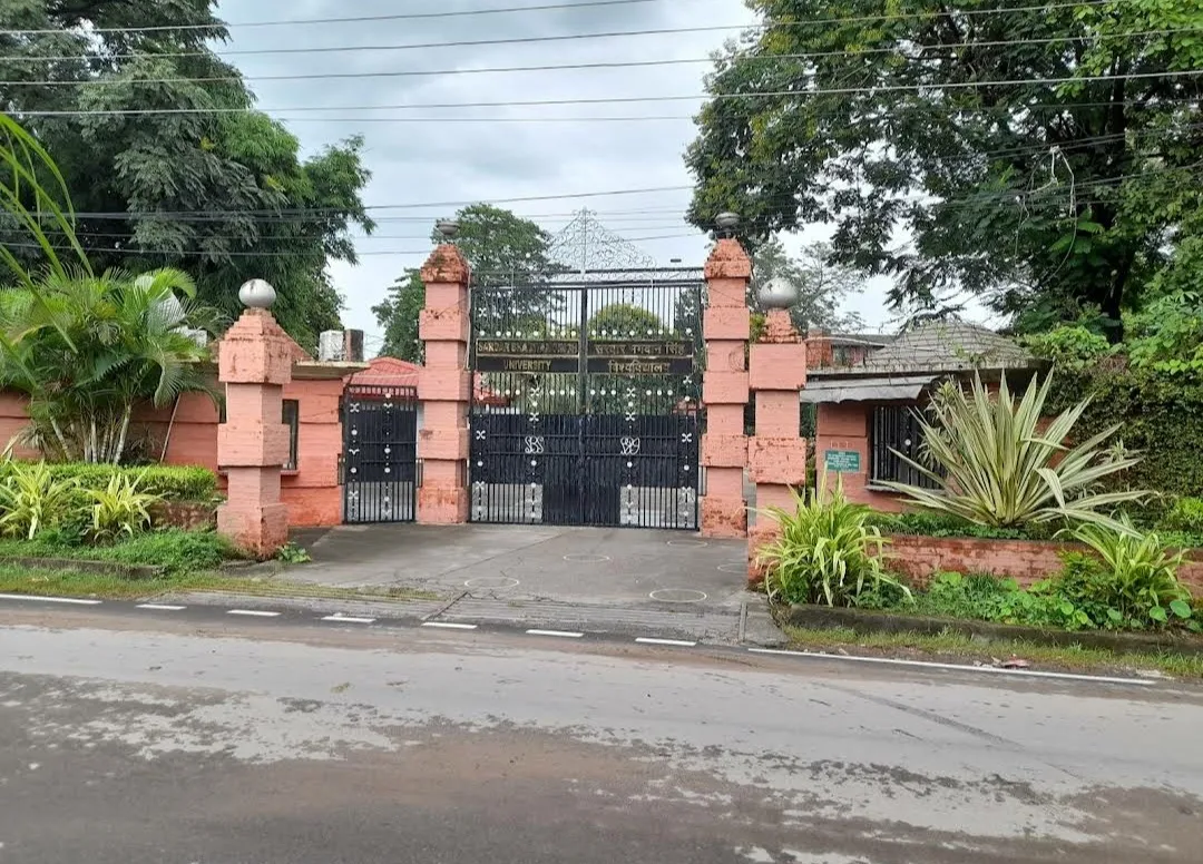 University Gallery Image