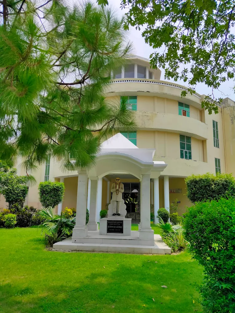 University Gallery Image