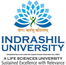 University Logo