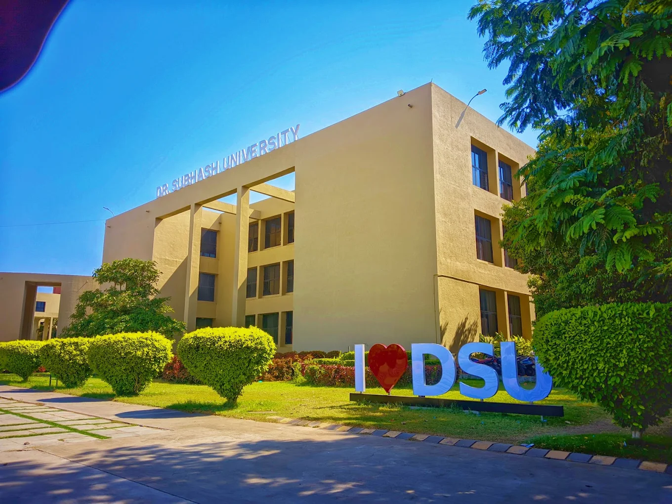 Dr. Subhash University