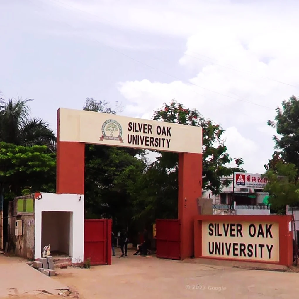 Silver Oak University