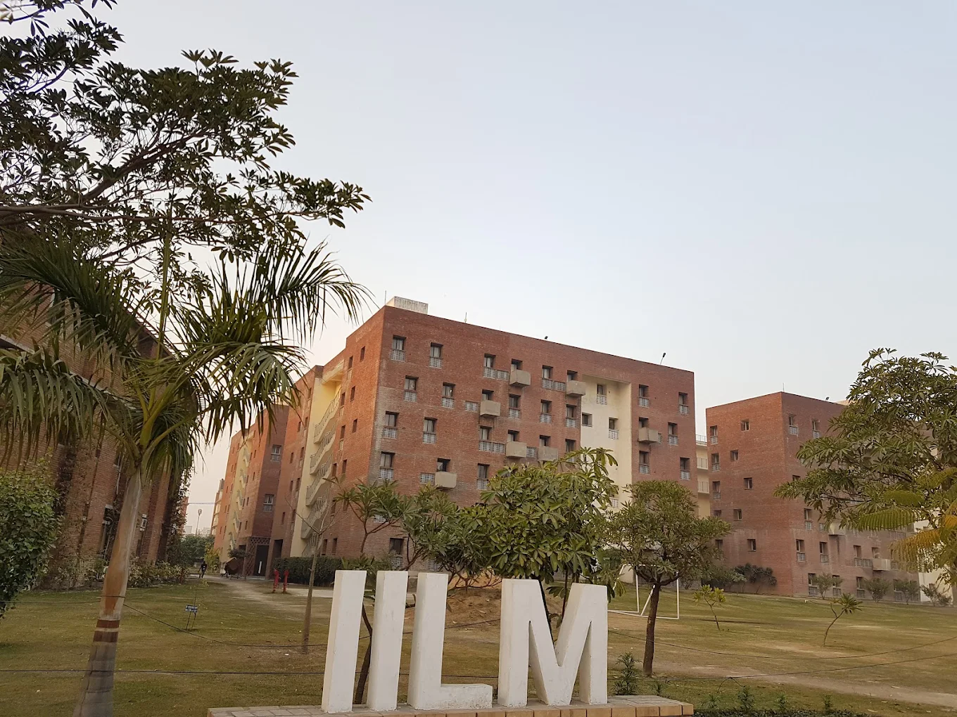 IILM University